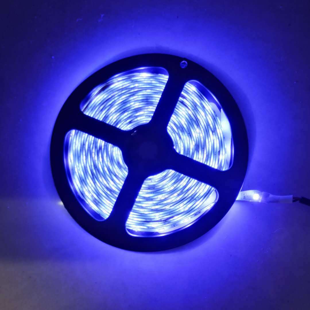 5M 12V RGB LED Strip Light with Remote Controller